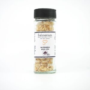 Sól piramidka grzyby leśne